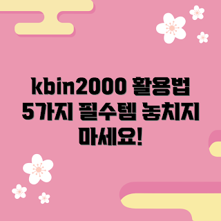 kbin2000 활용법, kbin2000 추천, kbin2000 무엇인가, kbin2000 사용 방법, kbin2000 왜 필요할까