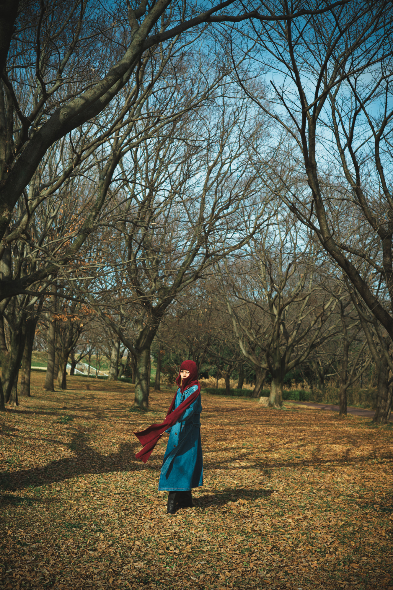 Portrait — Makino Shota