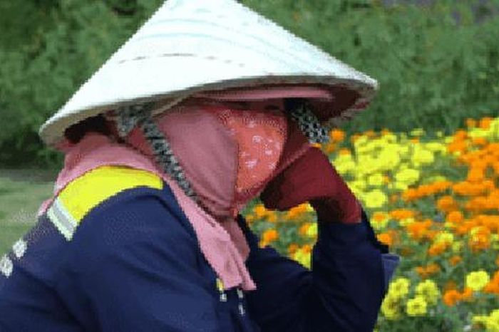 Nhiệt độ TPHCM đạt ngưỡng 38°C, người dân nhọc nhằn mưu sinh dưới nắng gắt - Báo Người Lao Động