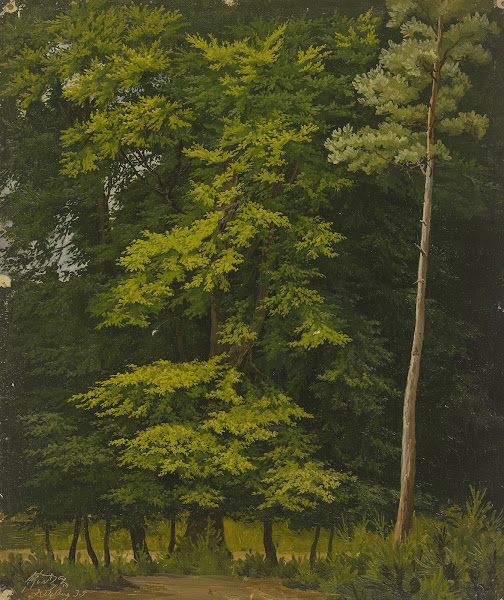 Broadleaf forest study in oil 1835