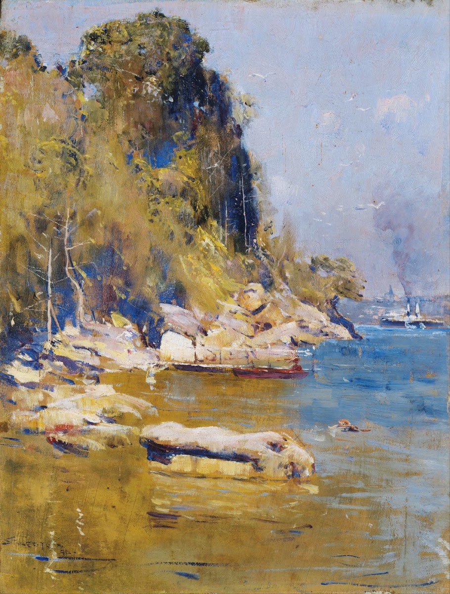 From my camp Sirius Cove 1896