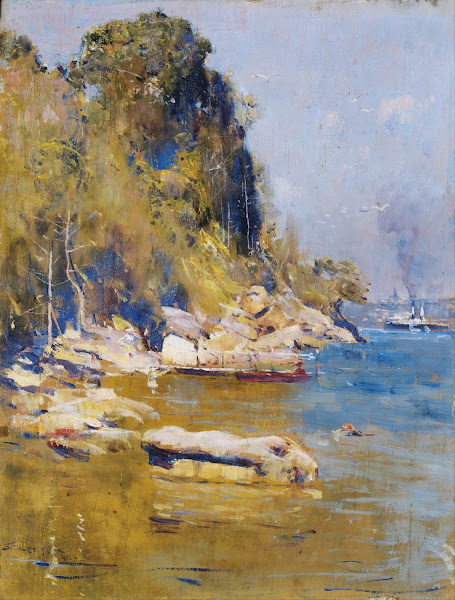 From my camp Sirius Cove 1896