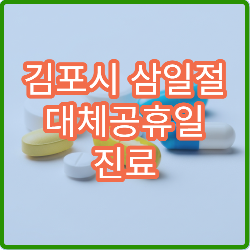 김포시 삼일절 대체공휴일 진료 병원 안내 공휴일 진료 시간과 응급실 운영 정보