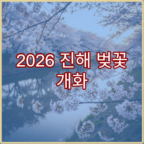 2026 진해 벚꽃 개화 예상일과 만개 시기 정확히 알아보기