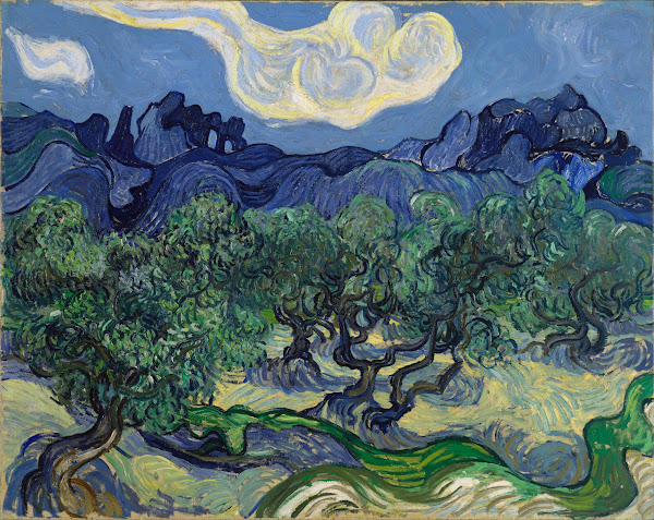 The Olive Trees 1889