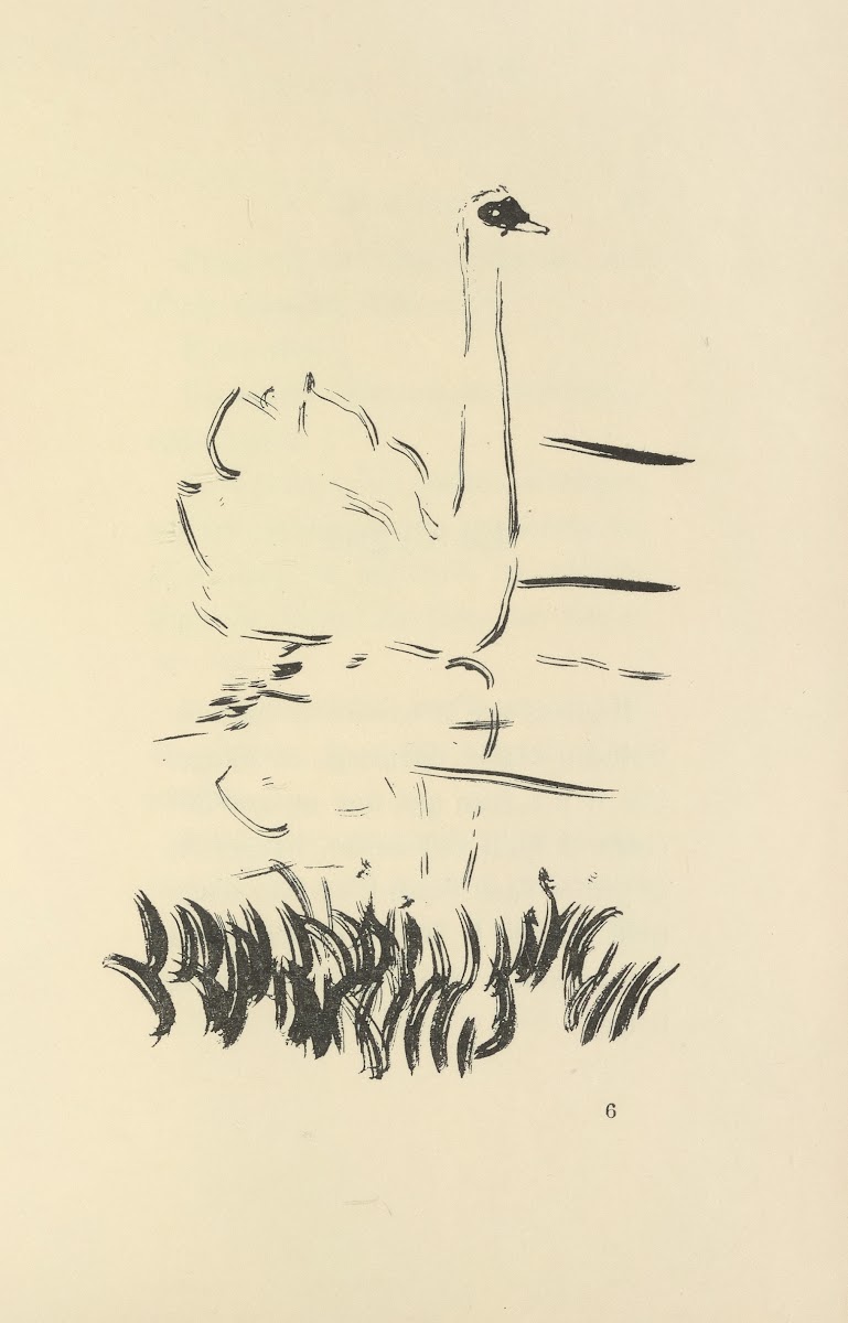 Histoires naturelles Pl 13 1922