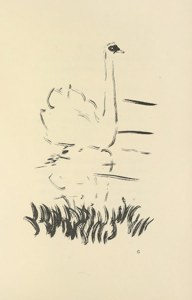 Histoires naturelles Pl 13 1922