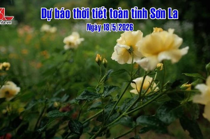 Dự báo thời tiết toàn tỉnh Sơn La ngày 18/05/2026 - Báo Sơn La