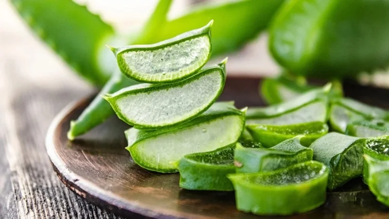 Nha đam có độc không? Nha đam có độc ở phần vỏ nếu không xử lý sạch trước khi ăn dễ bị ngộ độc