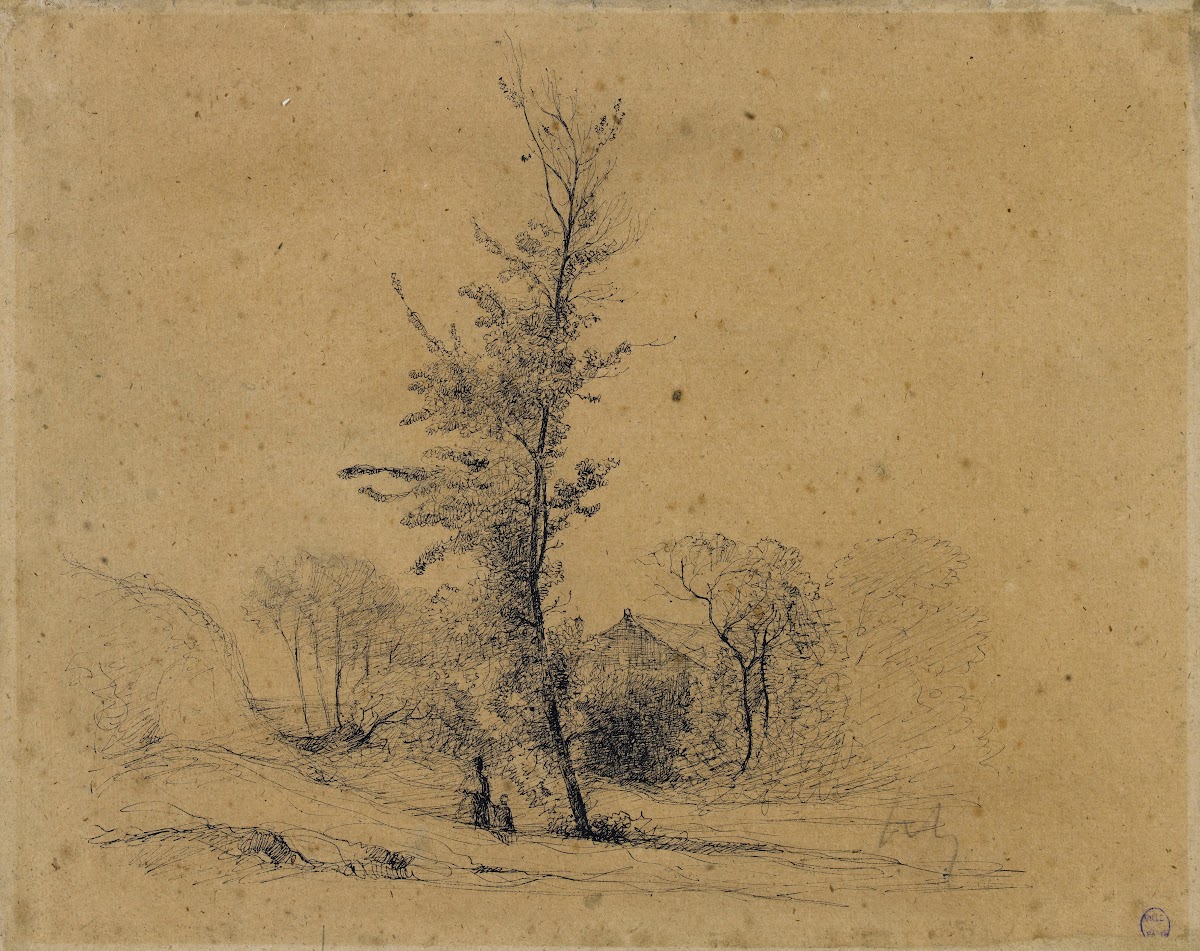 Chaumière dans les arbres