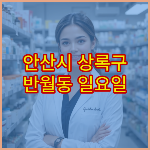 안산시 상록구 반월동 일요일 약국 운영시간 확인 및 당번약국 찾기