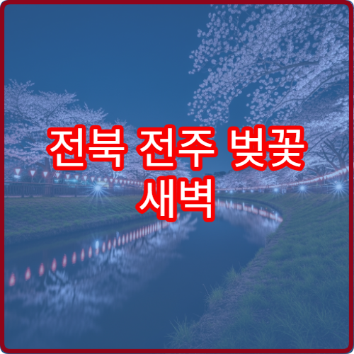 전북 전주 벚꽃 새벽 산책 한옥길 조용한 코스 추천