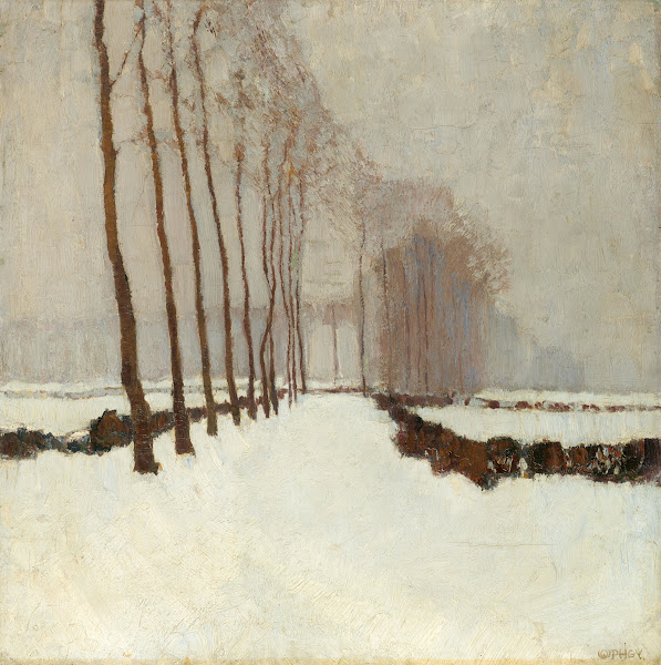 Pappeln im Winter