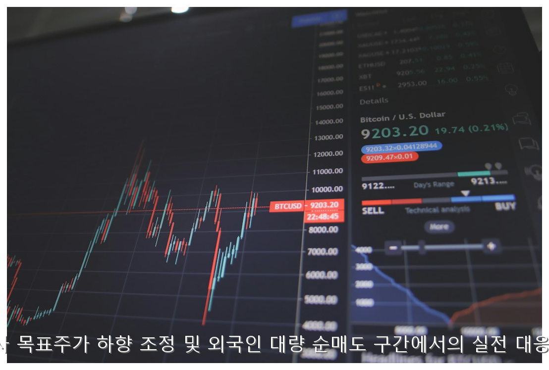 목표가 하향·외인 매도 시 실전 대응 전략 핵심 안내 및 분석 인포그래픽 (5)