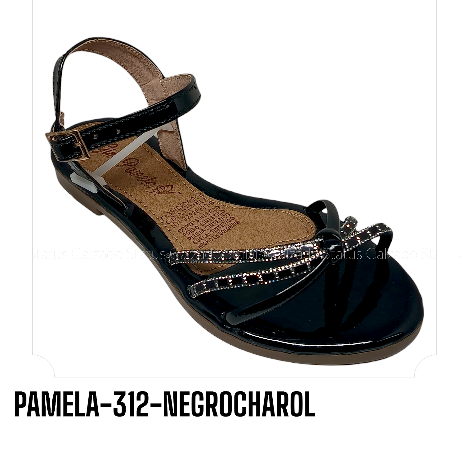PAMELA-312-NEGROCHAROL