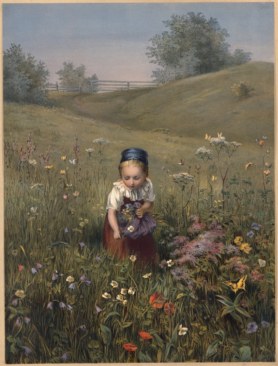 Spring Flowers ca 18611897