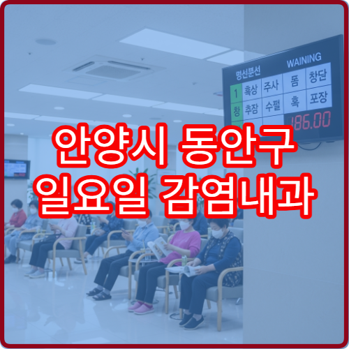 안양시 동안구 일요일 감염내과 진료 병원 코로나·감염병 상담 가능