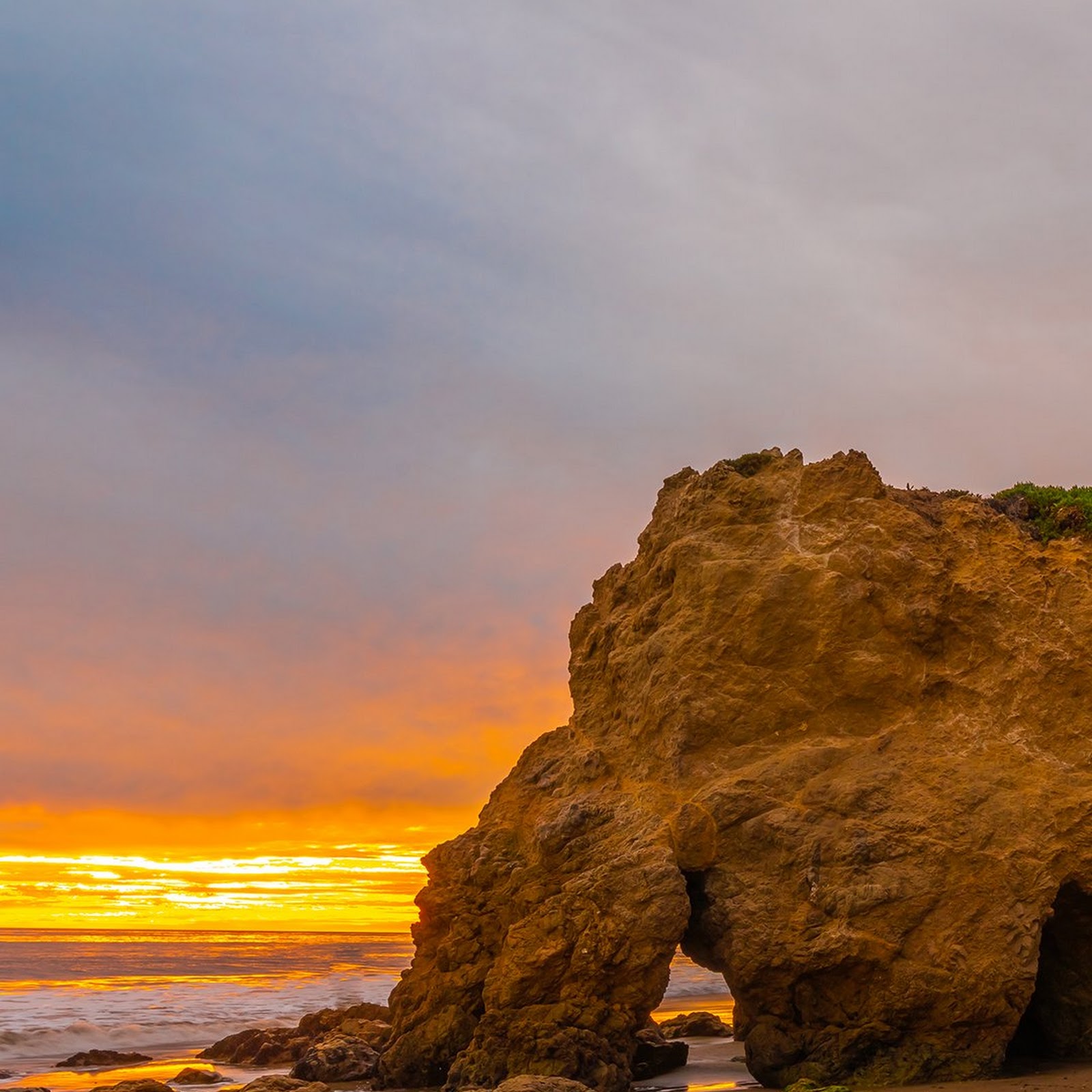 Download Coast, Headland, Cloud, Ecoregion, Plant Full HD iPhone