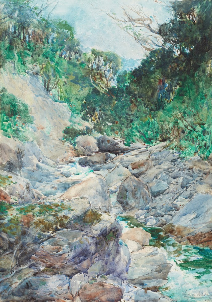 An alpine stream Otira 1905