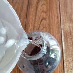 Cho 25g cà phê xay vào bình thủy tinh nửa lít - rót 250ml nước. đá vào khuấy đều.