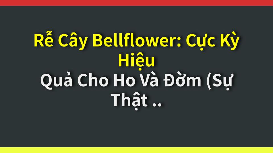 Rễ Cây Bellflower: Cực Kỳ Hiệu Quả Cho Ho Và Đờm (Sự Thật Có Thật)