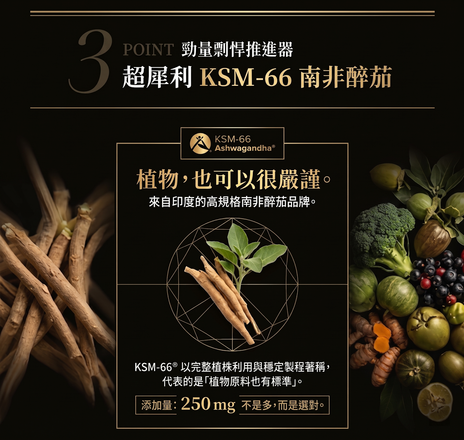 POINT3 KSM-66 250mg FutureCeuticals50mg  