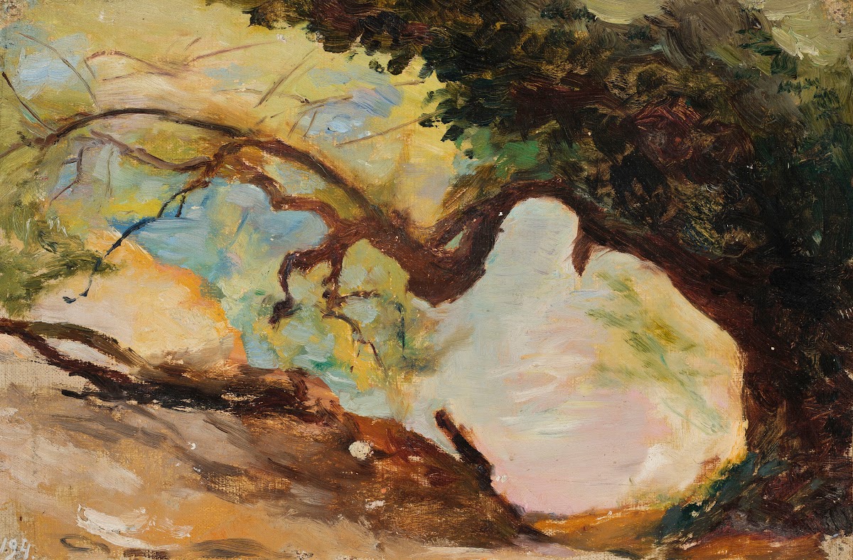 Trees in Alupka From the journey to Crimea between 1887 and 1899
