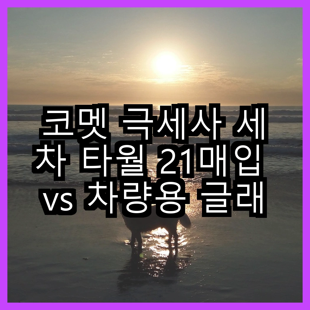 코멧 극세사 세차 타월 21매입 vs 차량용 글래스 타월, 어떤 것이 더 실용적일까? 썸네일