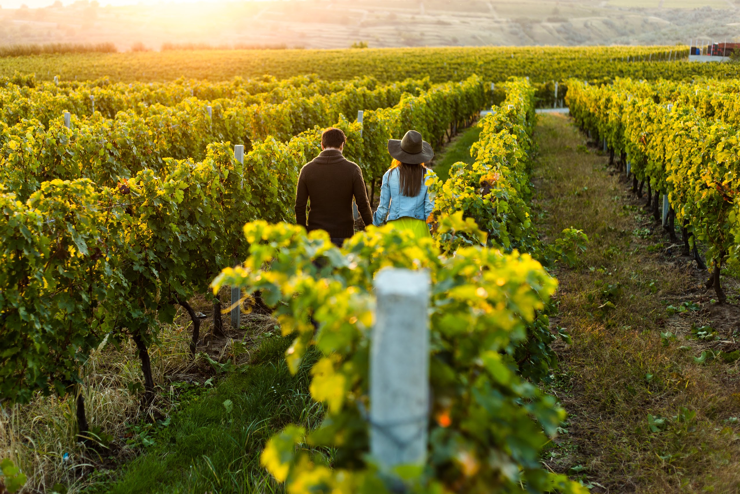 A Day of Senses: Lisbon, Obidos & Adega Mae