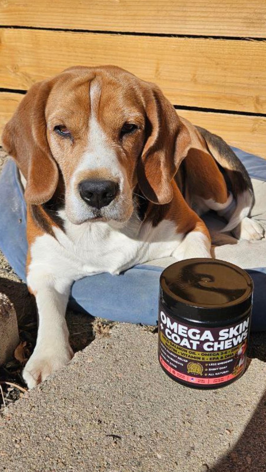 Pup Choice Omega 3 Skin & Coat UGC photo with dog and product