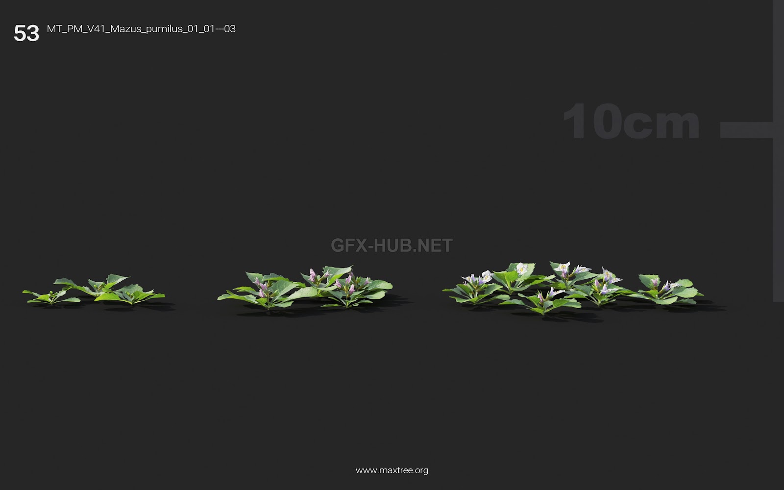 Maxtree - Plant Models Vol.41