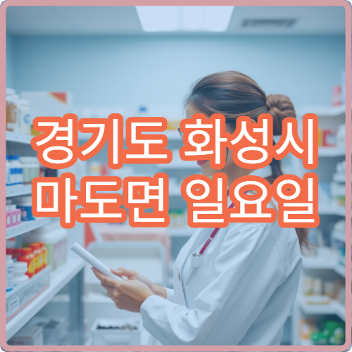경기도 화성시 마도면 일요일 당번약국 안내 공휴일 당직약국 정보