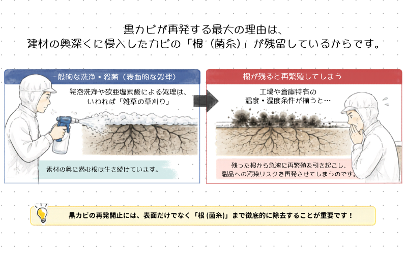 カビの根本原因解説