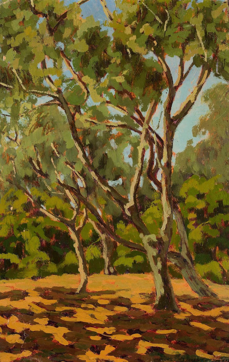 Olives and sunny glade 1924