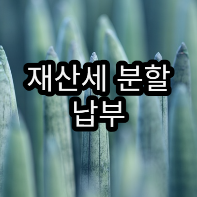 재산세 분할 납부 제도