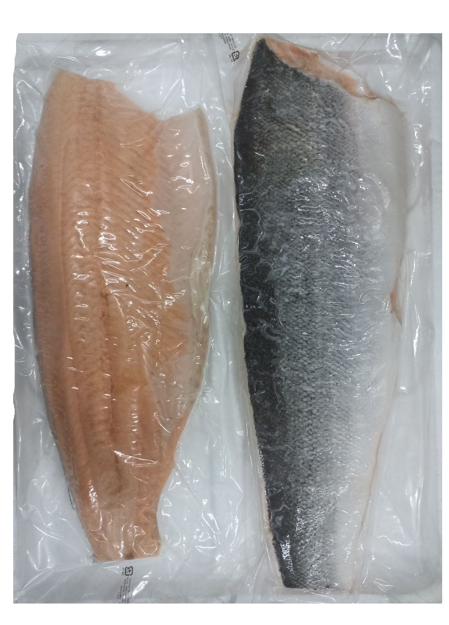 Fish Salmon Fillet