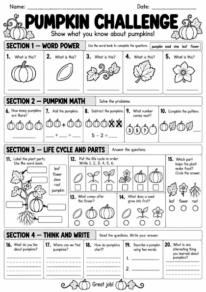 Pumpkin Challenge Worksheet