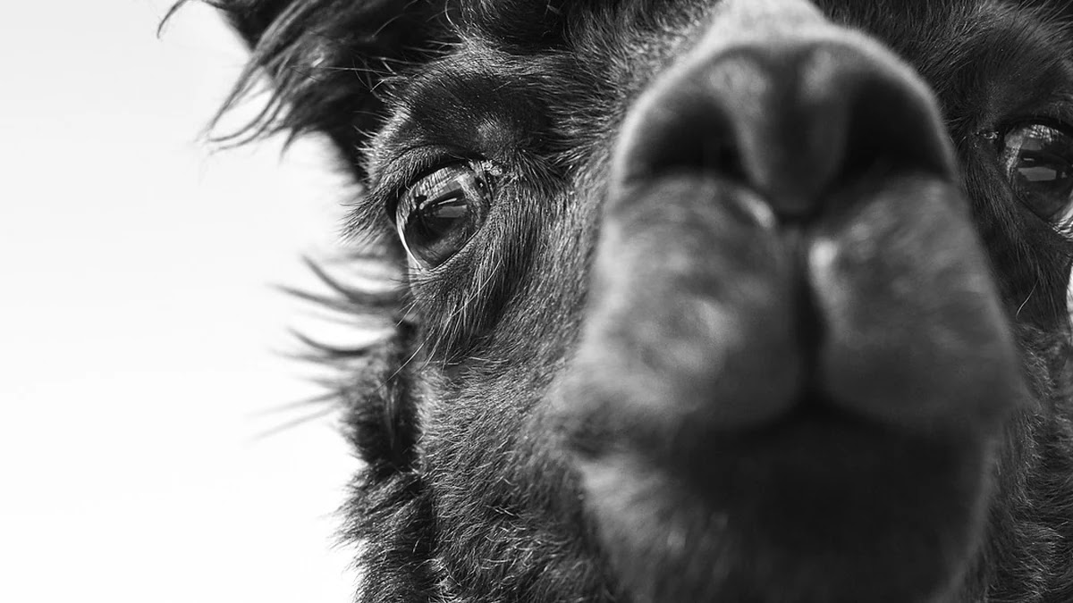 복지급여 대상자 선정 기준과 신청 시 확인해야 할 서류