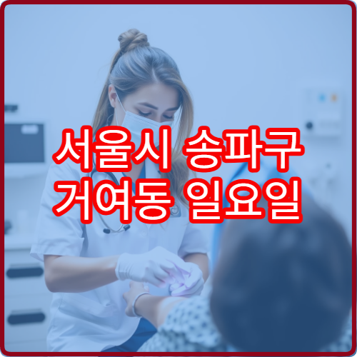 서울시 송파구 거여동 일요일 안과 진료 병원 시력 검사