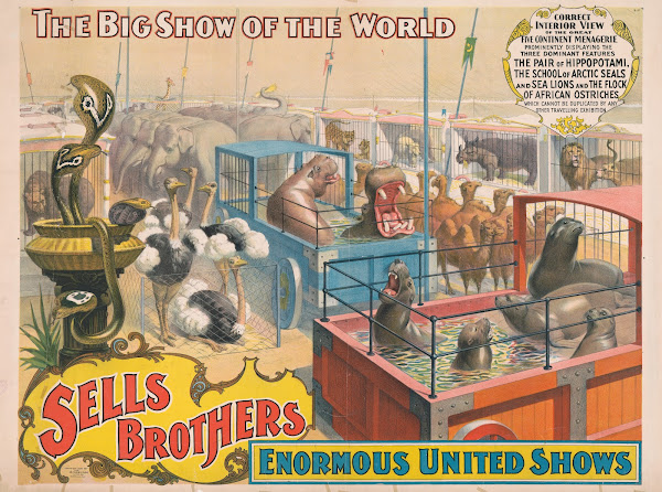 Sells Brothers enormous united shows  Correct interior view of the great five co