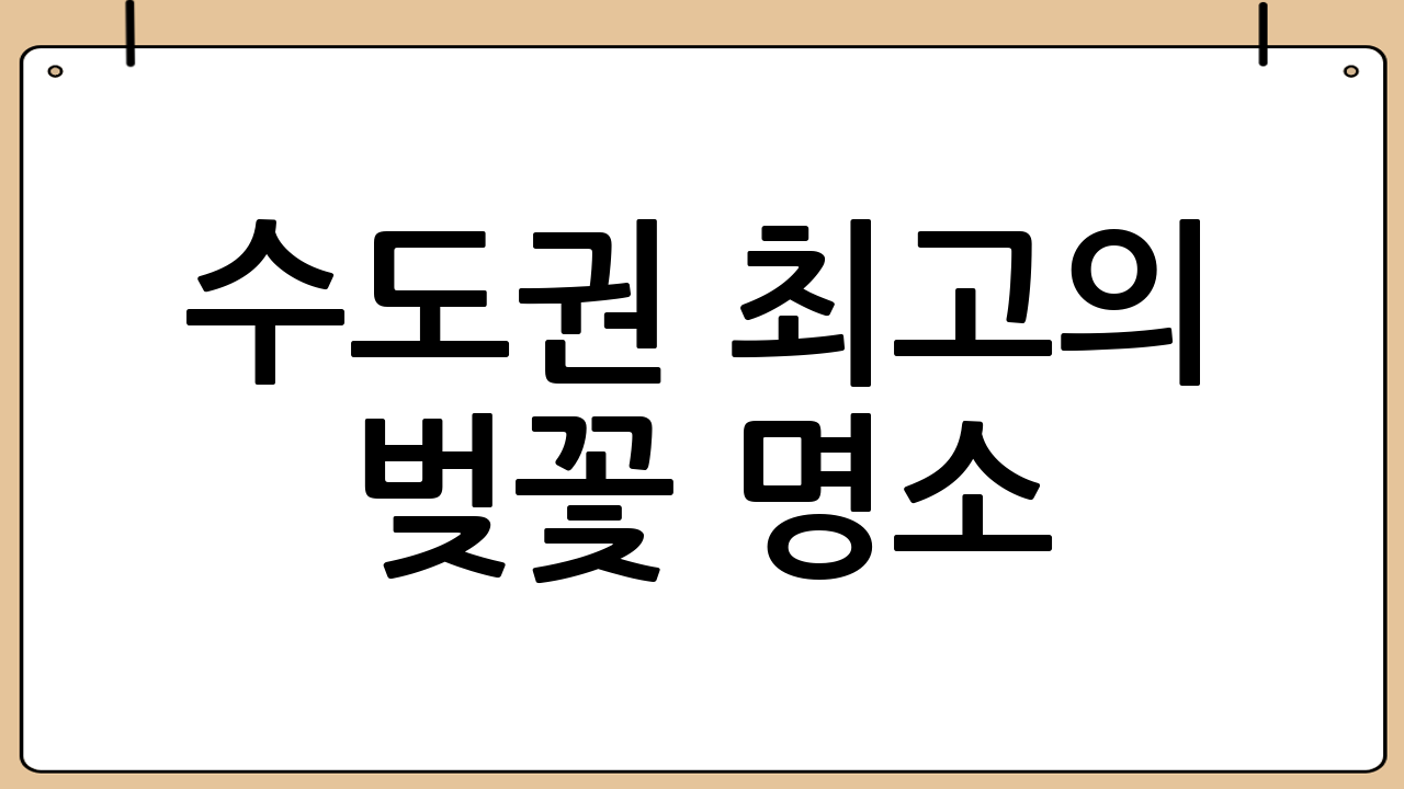 수도권 최고의 벚꽃 명소