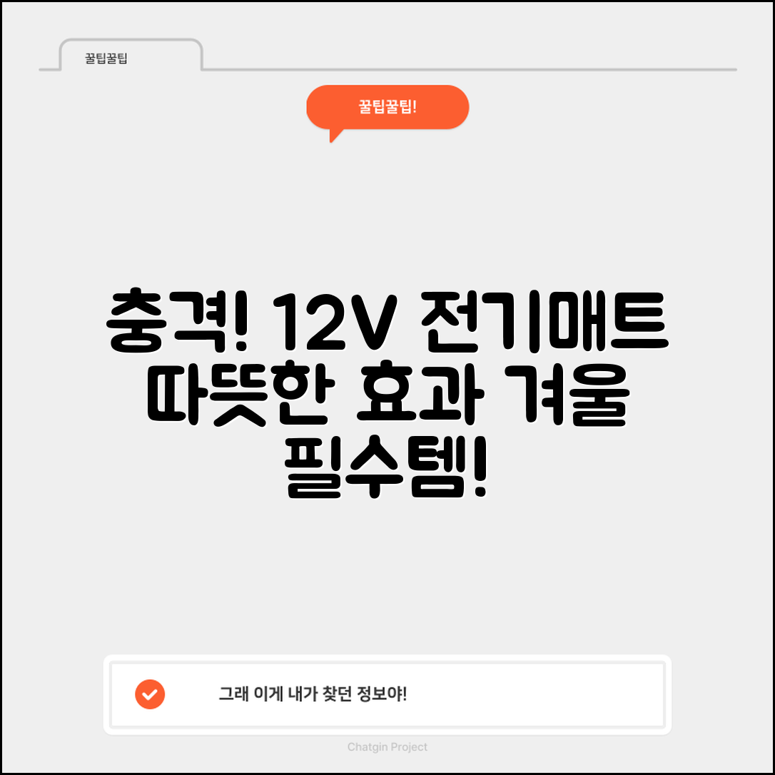 충격적인 12v전기매트의 따뜻한 효과!