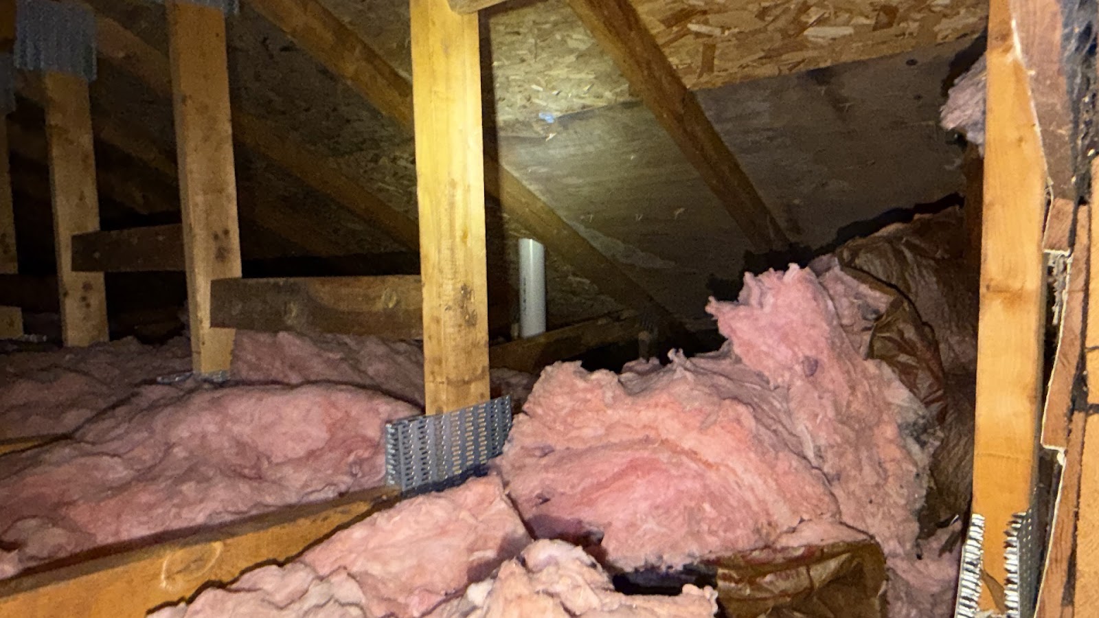 Copy of IMG_2026-03-13_14-15-00_654.jpg