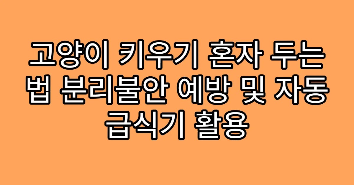 고양이 키우기 혼자 두는 법 분리불안 예방 및 자동 급식기 활용
