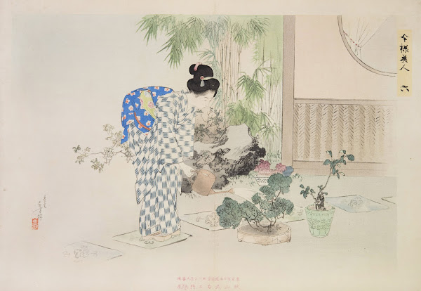 Kyōiku imayō bijin fūzoku zen Pl06 1898
