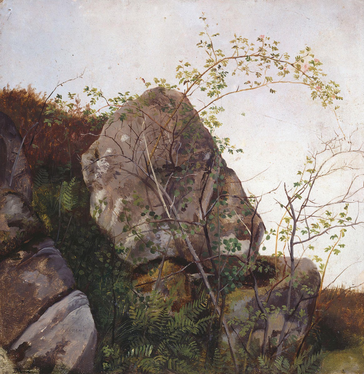 Study of Dog Roses and Ferns 1834