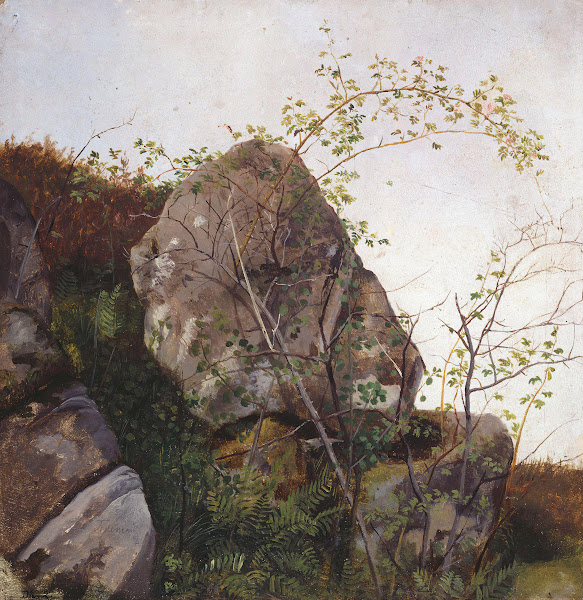 Study of Dog Roses and Ferns 1834