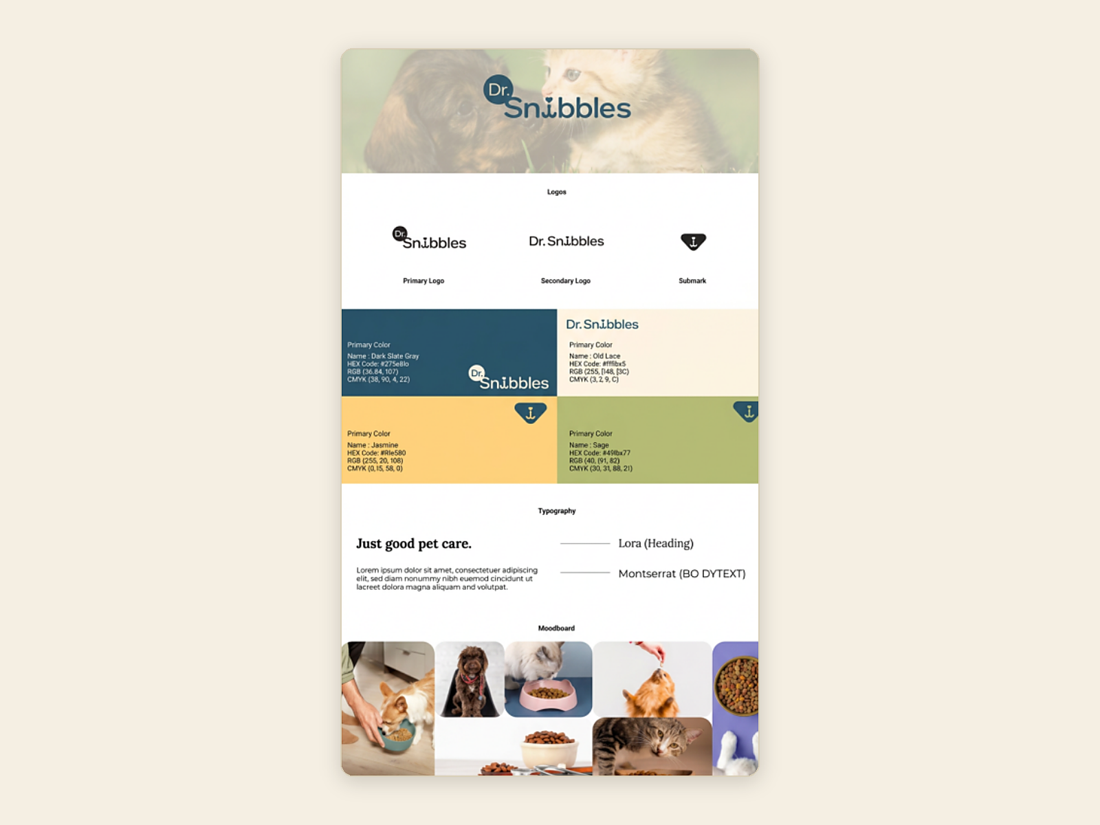Brand Visual Identity