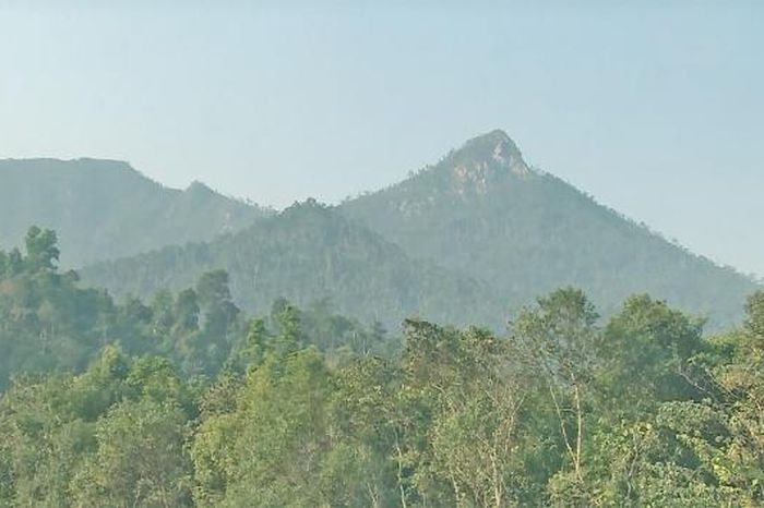 Chi cục Kiểm lâm tỉnh Bắc Ninh thông báo cấp dự báo cháy rừng - Báo Bắc Ninh