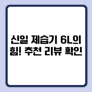 신일 제습기 6L SDH-M06KP, 겨울 습기 관리, 2023 제습기 추천, 실내 습도 조절, 신일 제습기 사용기